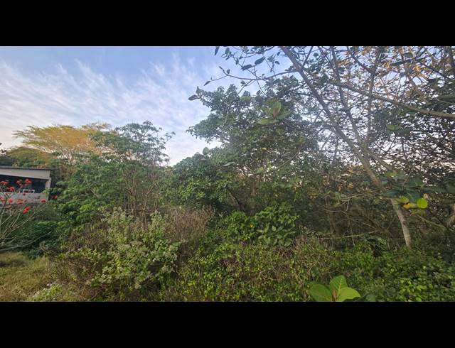 660M² VACANT LAND FOR SALE IN PALM LAKES ESTATE